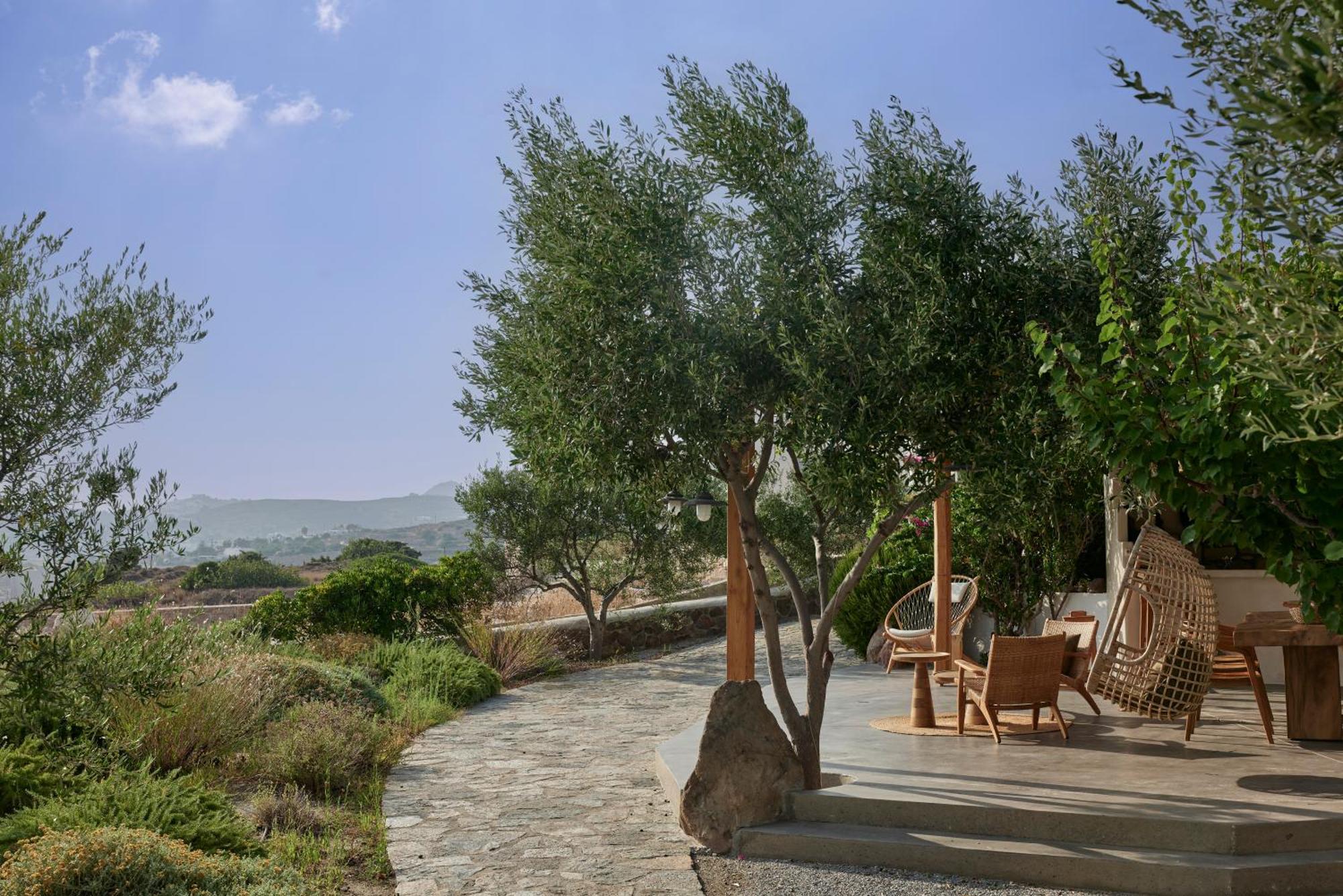 Iliana Olive Branch Daire Adamantas  Dış mekan fotoğraf