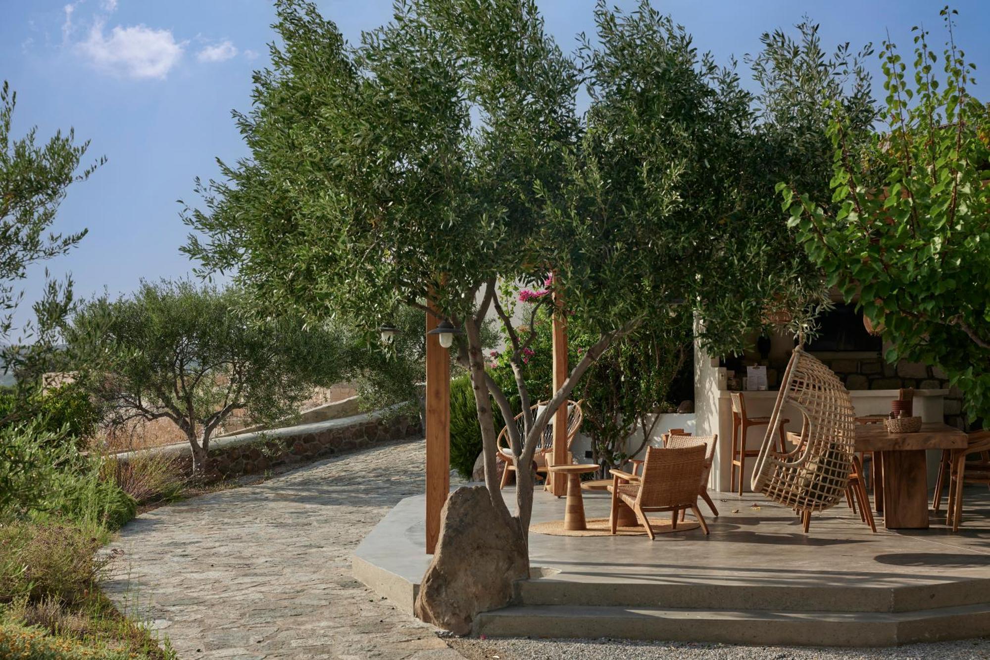 Iliana Olive Branch Daire Adamantas  Dış mekan fotoğraf