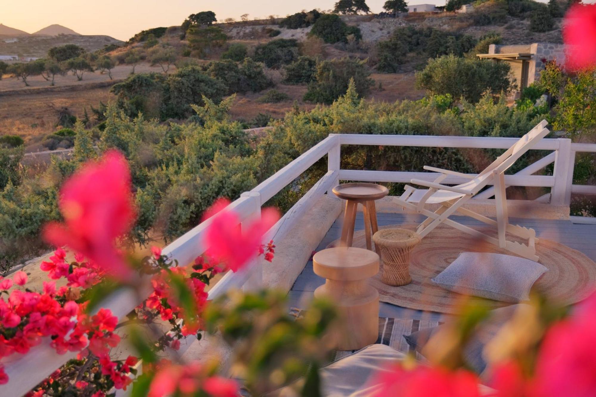 Iliana Olive Branch Daire Adamantas  Oda fotoğraf